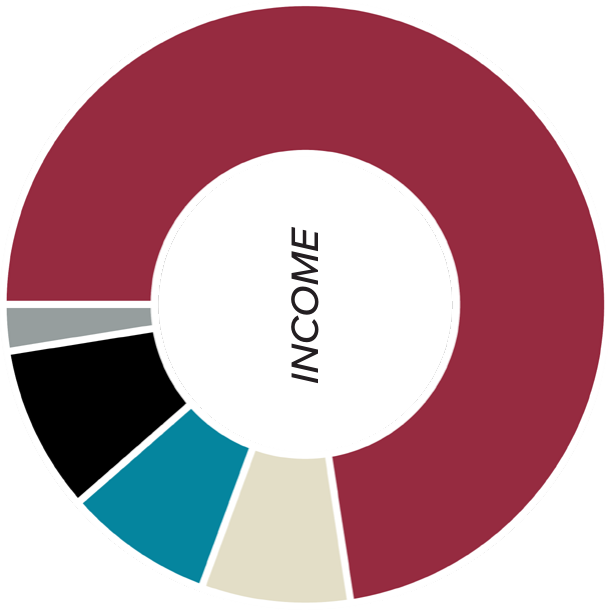 Income breakdown donut chart: Contributions 72.6%, Net Investment Income 8.9%, Another World Contributions 8.0%, Foundation Grants 8.0%, Fiscal Sponsorship and Other 2.5%