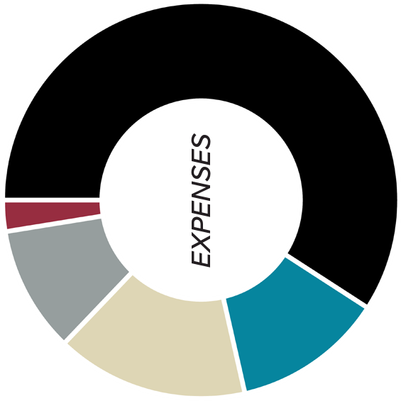 Expenses breakdown donut chart: Support for Social Justice ($812,344), General Administration ($215,483), Another World is Possible ($169,057), Fundraising ($141,661), Fiscal Sponsorship ($35,039)