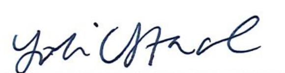 Signature of Clerk of Council