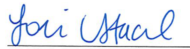 Clerk of Council signature