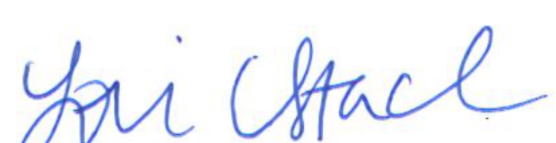 Signature of Clerk of Council