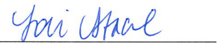 Signature of Clerk of Council Lori Stacel