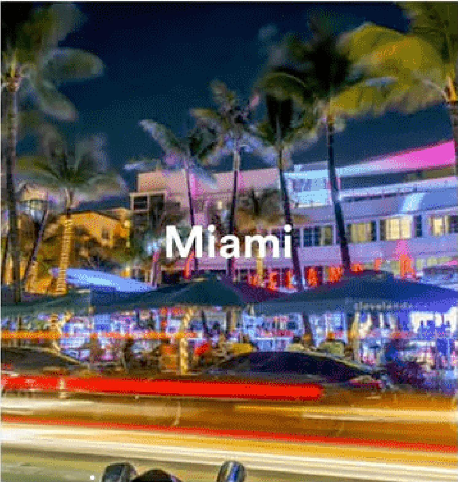 Miami city lights with palm trees at night