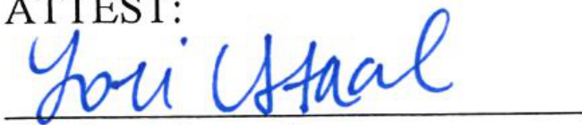 Signature of Lori Staal, Clerk of Council