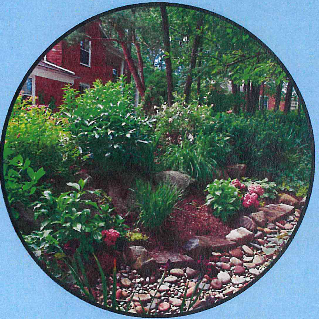 Lush rain garden featuring native flowers, shrubs, and a decorative dry creekbed of stones next to a house