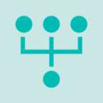 Entity Network Icon