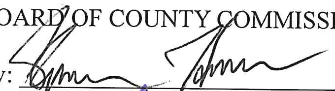 Signature of Shannon Henry