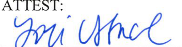 Signature of Clerk of Council