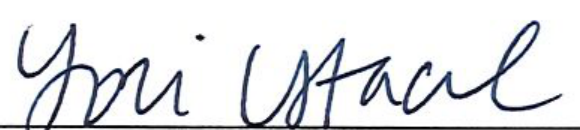 Signature of Clerk of Council