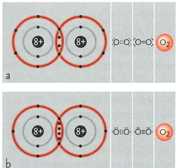 Structural model of a covalent bond between two oxygen atoms
