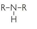 Amine structure: R-N-R bonded to H
