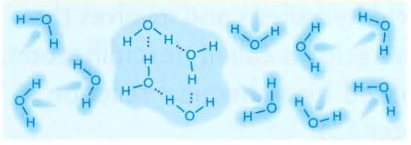 Diagram showing water molecules in a liquid state forming clusters in a light blue space, with dashed lines indicating attractions.