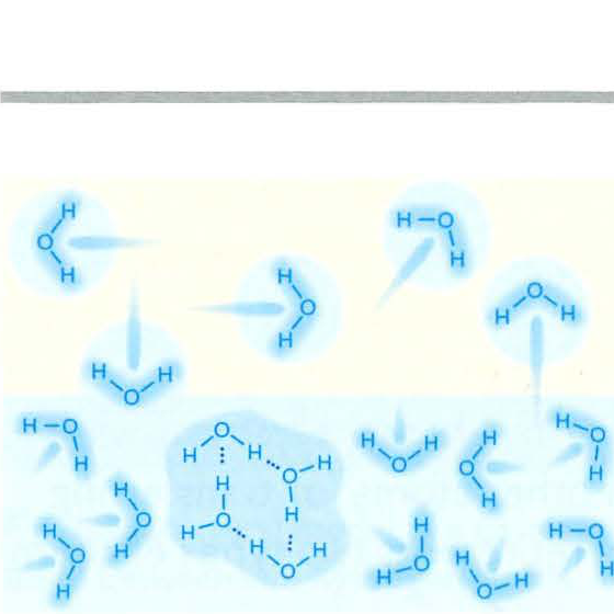 Diagram of water molecules in dynamic equilibrium between liquid and vapour states.