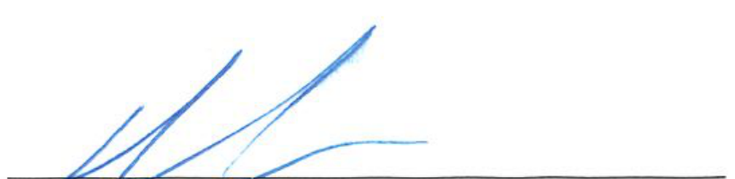 Signature of the Chair across the signature line