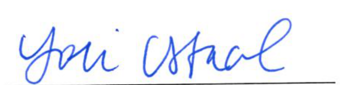 Signature of Clerk of Council