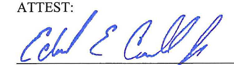 Handwritten signature of Edward E. Carroll Jr.