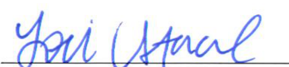 Signature of Clerk of Council