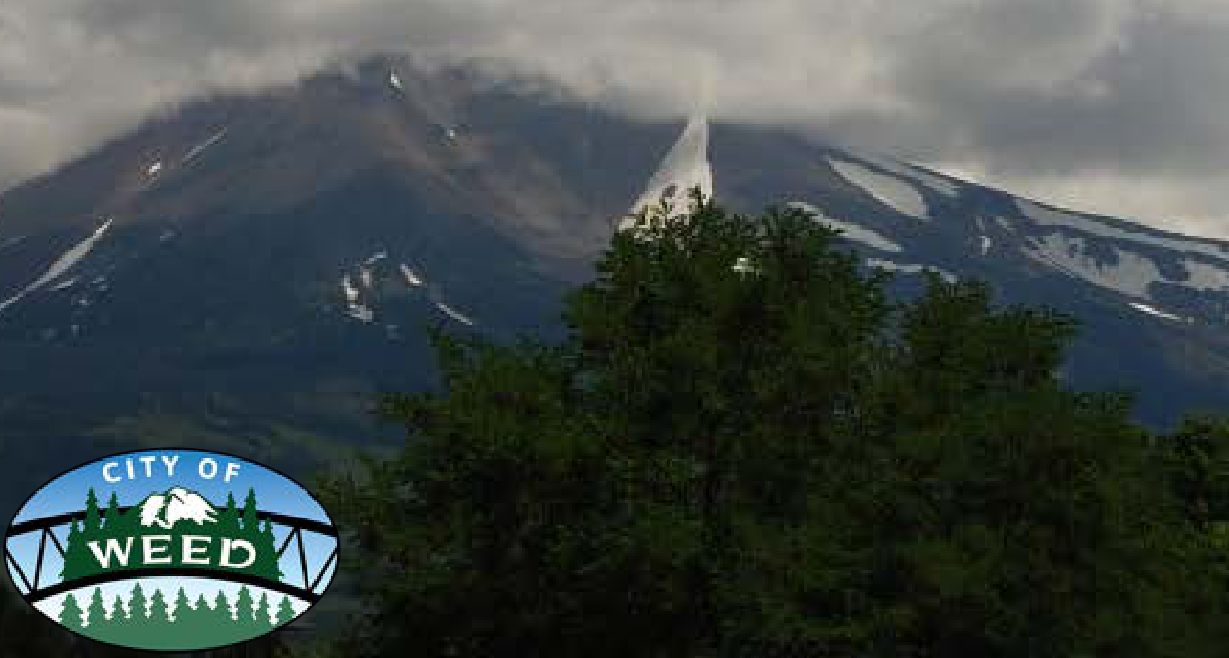 Mount Shasta Landscape and City of Weed Logo