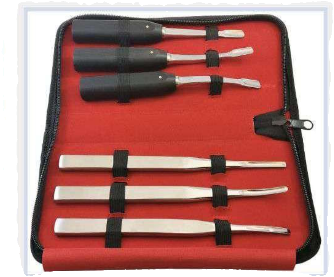 Extraction Elevator Set of 6 instruments in a red zipper case