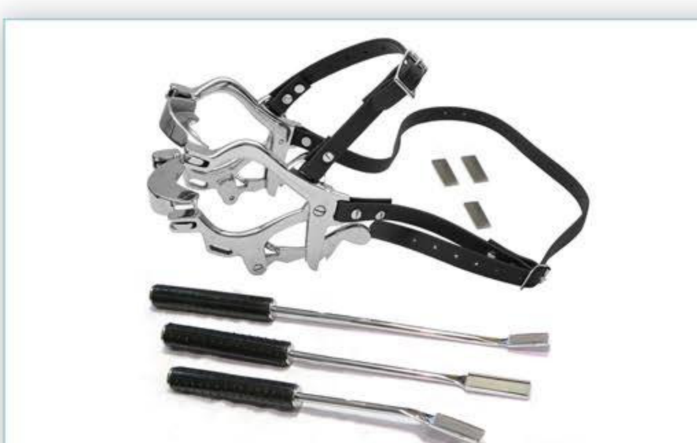 Pony and Miniature Dental Kit components