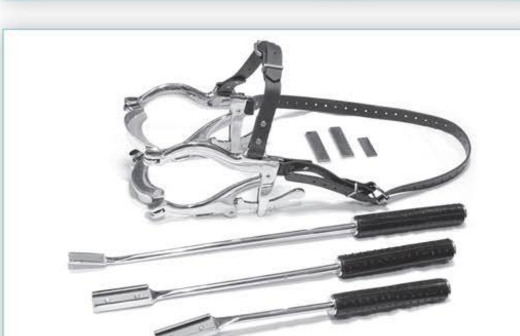 Bronze Package Basic Equine Dental Kit components
