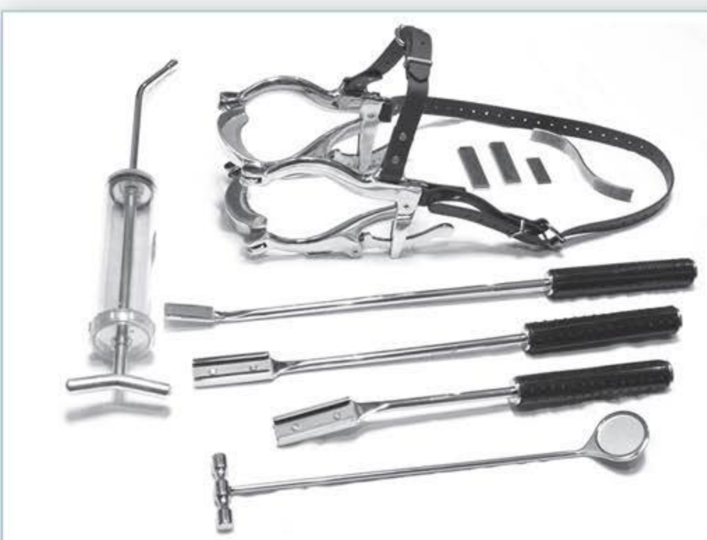 Silver Package Equine Dental Kit components