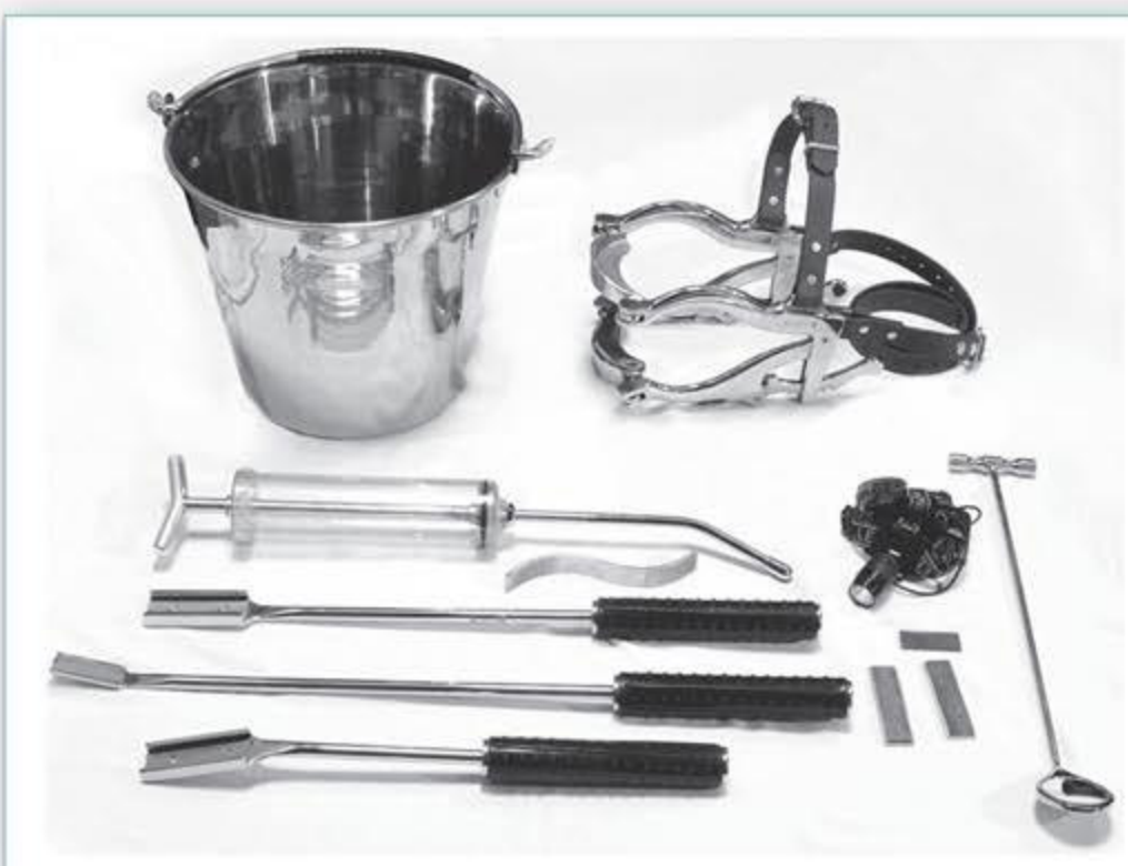Gold Package Advanced Equine Dental kit components