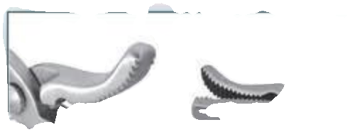 Hoof Nipper/Trimmer Variations