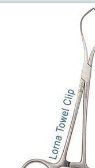 Lorna Towel Clip