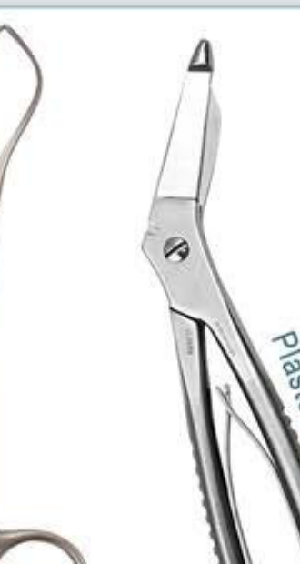 Plaster Shears