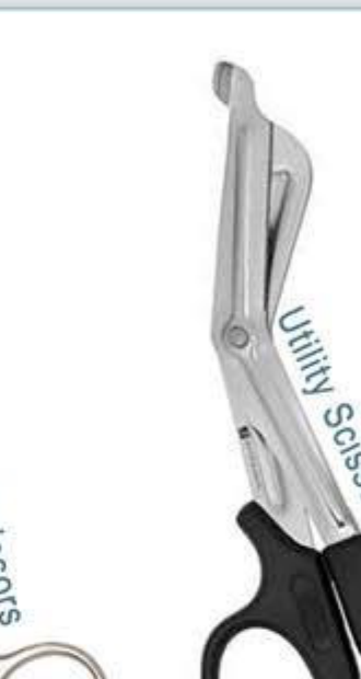 Utility Scissors
