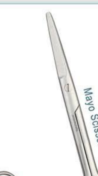 Mayo Scissors