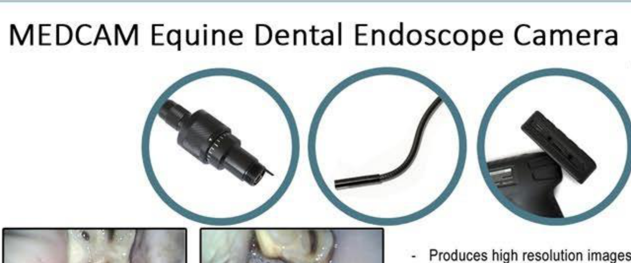 Endoscope detail views