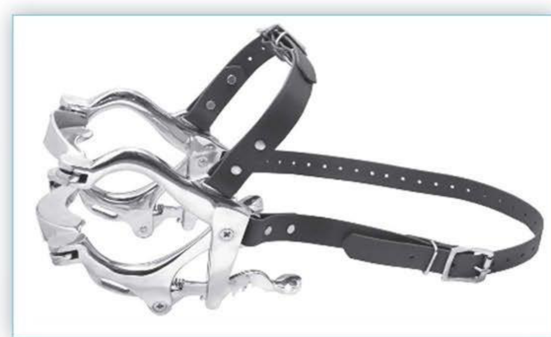 MED2012 Pony Speculum with Biothene Straps