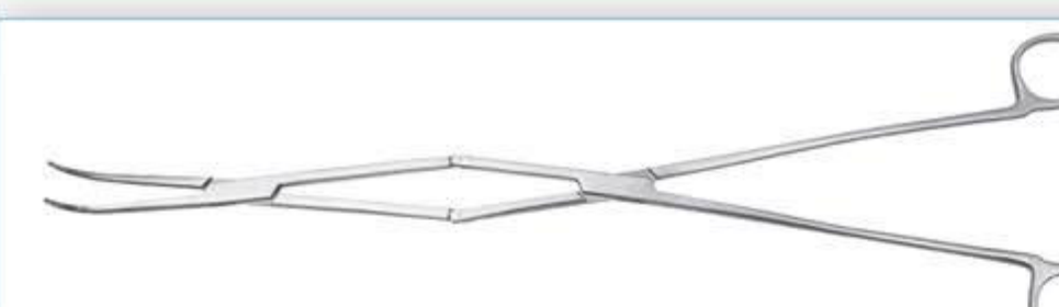 MED2092 Equine Periodontal Forceps