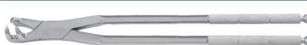 MED2076 Forceps