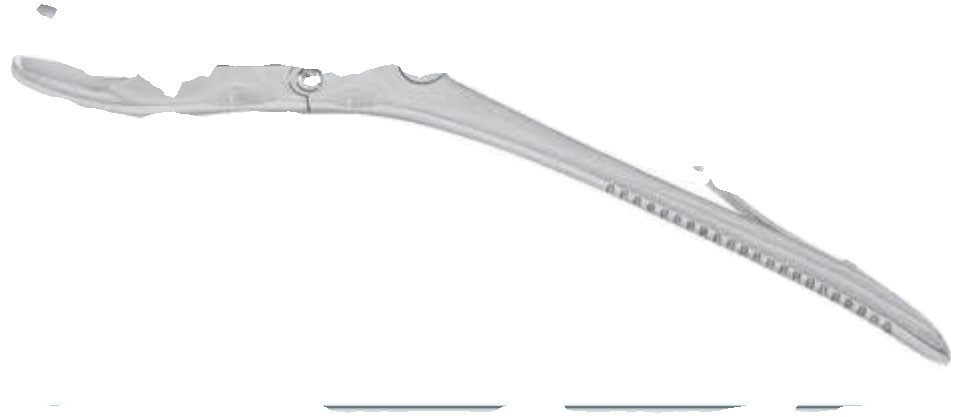 6147 6" Root Tip Extraction Forceps