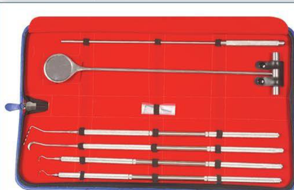 MED2052 Equine Periodontal Instrument Set in red case