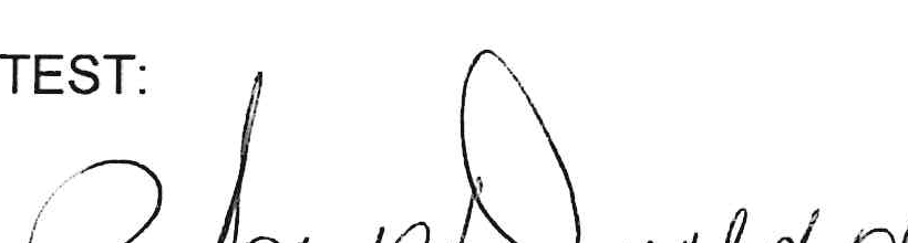 Signature of County Auditor