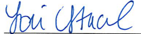 Signature of Clerk of Council