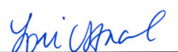 Signature of Clerk of Council