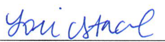 Signature of Clerk of Council