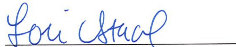Signature of Clerk of Council Lori Stacel