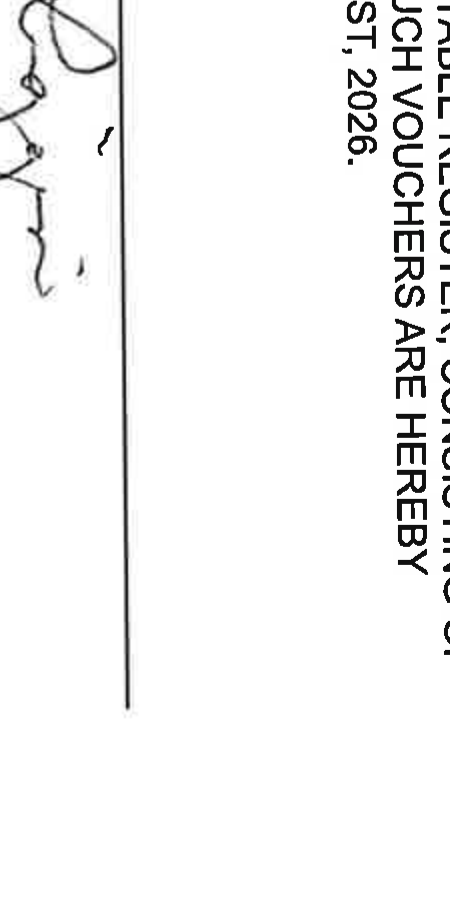 Fiscal Officer Signature Squiggle