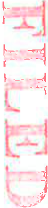 Filed Stamp with Signature
