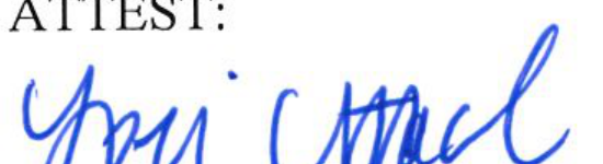 Clerk of Council Signature