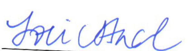 Clerk of Council Signature
