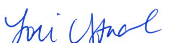 Signature of Clerk of Council