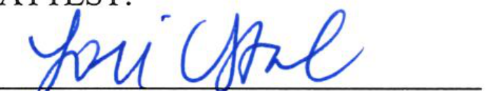 Signature of Clerk of Council