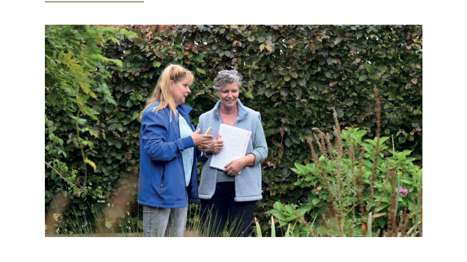 Beplanting Advies Overleg